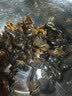 燕之坊有机长白山黑木耳 70g罐装 东北干货 肉厚无根 炒菜凉拌火锅材料 实拍图