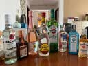 懒虫Camino 银龙舌兰酒750ml 墨西哥进口 长岛冰茶 送礼 实拍图