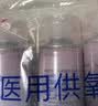 维德（WELLDAY）氧气瓶便携式供氧器孕妇老人吸氧机高原旅游氧气罐1000ml*4瓶 实拍图