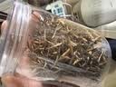 凤牌红茶 特级金针云南凤庆滇红60g罐装 中华老字号 茶叶 实拍图
