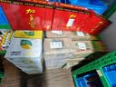 农夫山泉东方树叶茉莉花茶500ml*15瓶无糖茶饮料0糖0脂0卡整箱装 实拍图