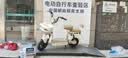 台铃电动自行车小锦鲤2026新国标电动车48V13AH铅酸电池长续航可上牌男女通勤代步上班电瓶车香草白 实拍图