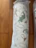 babycare婴儿安抚枕头宝宝多功能抱枕透气枕头6月-6岁-比奇角恐龙39*12cm 实拍图