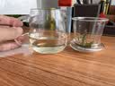 物生物（RELEA）玻璃杯男女士茶水分离杯耐高温办公泡茶杯带把高硼硅水杯花茶杯子 实拍图