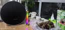 哈曼卡顿（Harman/Kardon） ONYX 9 音乐卫星九代 桌面音箱电脑音响户外便携音响户外蓝牙音箱桌面播放器低音炮 中秋节礼物 ONYX 9 黑色 实拍图