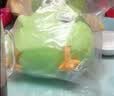 名创优品（MINISO）墩墩鸡6号椰子鸡小鸡玩偶毛绒公仔dundun鸡抱枕儿童玩具生日礼物 实拍图