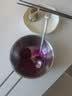 水卫士洗碗机专用洗碗凝珠6袋 洗碗机洗涤清洁剂洗碗粉洗碗块耗材1.87kg 实拍图