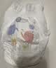 好奇（Huggies）金装小黑洞拉拉裤XXXL58(17kg以上)尿不湿【速干不易红】 实拍图