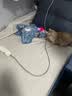 HELLOJOY猫咪玩具自嗨解闷神器智能电动逗猫球自动逗猫棒幼猫遛猫消耗体力 实拍图