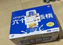 养元六个核桃 精品型核桃乳植物蛋白饮料240ml*24 整箱装 中秋送礼 实拍图