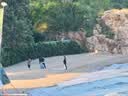 盯盯拍行车记录仪Z30 4K版 超清黑光夜视 停车监控 3英寸全彩屏 实拍图