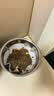 领先主食猫条14g*5条猫咪零食全价湿粮（新老款随机发货） 实拍图