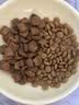 皇家英短成猫粮 BS34 通用粮 12月以上 4.5KG 实拍图