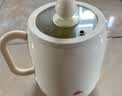 养生壶电炖杯烧水壶热水壶恒温壶养生烧水壶煮茶壶煮茶器泡茶壶一体机全自动玻璃保温小家用 豪华款】多功能炖煮 0.8L 煲汤焖饭+保温带滤网 实拍图