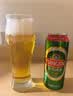 青岛啤酒（TsingTao）经典 500ml*18罐整箱装（多厂生产随机发货）中秋节送礼 实拍图