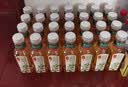 农夫山泉【新口味】东方树叶陈皮白茶500ml*15瓶无糖茶饮料0糖0脂0卡 实拍图