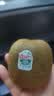 佳沛（zespri）绿奇异果优选果27-33粒原箱103-135g猕猴桃中秋节礼品送水果礼盒 实拍图