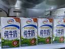 伊利纯牛奶250ml*24盒 优质乳蛋白早餐奶 中秋礼品 6月产 实拍图