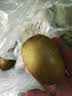 佳沛（zespri）新西兰金奇异果猕猴桃 5粒装 单果约88-103g 水果源头直发 实拍图