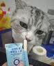 网易严选全价猫粮4.0成幼猫三文鱼亮毛养胃深海鱼虾1.8kg*6袋【宠物金选】 实拍图