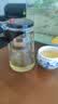 飘逸壶泡茶壶耐热高温玻璃沏茶过滤内胆冲茶器家用茶具套装 飘逸杯500mL1个 实拍图