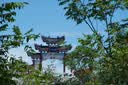 索尼（SONY）DSC-RX100M7 黑卡数码相机（24-200mm焦段  4K视频) RX100M7 黑卡7 黑卡7 实拍图