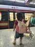 SHUKIKU儿童书包幼儿园防丢失防泼水大容量户外旅游双肩包桃子果汁S+码 实拍图