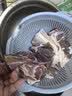 趣尝鲜和牛腱子净重1kg原切谷饲牛腱子 卤味红烧健身食材 生鲜 实拍图
