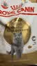 皇家猫粮 英短成猫粮 BS34 通用粮 12月以上 2KG 实拍图