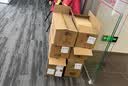世界十大名著（套装共10册 精装版）【经典文学小说】大卫·科波菲尔+钢铁是怎样炼成的+悲惨世界+安娜·卡列尼娜+傲慢与偏见+巴黎圣母院+童年+呼啸山庄+红与黑+飘【初中以上及成人】 实拍图