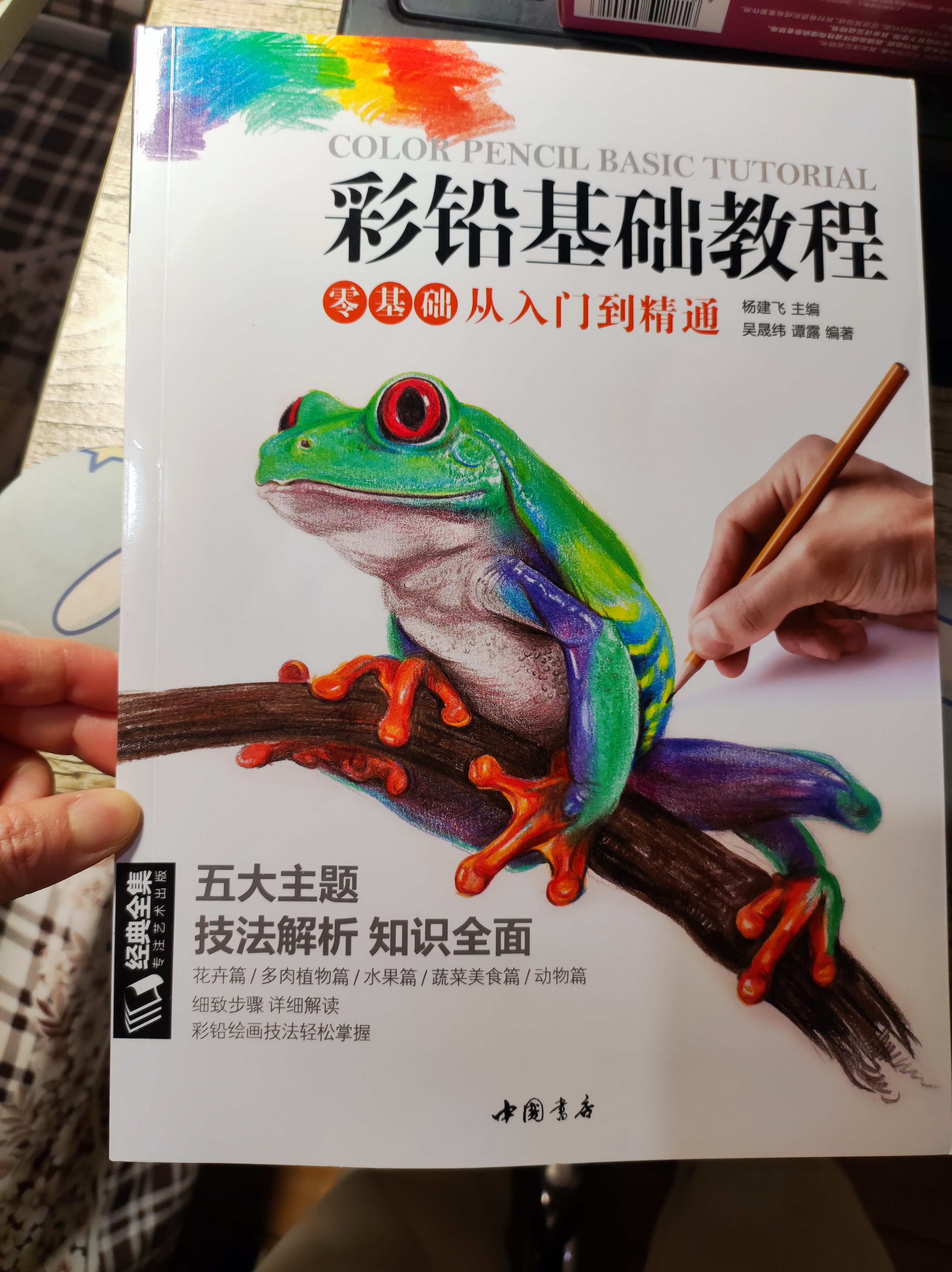 经典全集《彩铅基础教程》零基础入门教材自学手绘临摹初学者儿童成人物书籍风景动物多肉植物花卉美食篇画册 实拍图