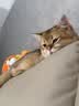 欢宠网防猫抓贴沙发保护套猫咪猫爪防抓垫防挠板保护膜贴膜透明防水3米 实拍图