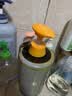 琴叶（Q&Y）侧柏叶生姜洗发1000ml 经典P104 防脱养发 韧发控油 晒单实拍图