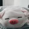 名创优品（MINISO）小猪B-BO翅膀猪玩偶毛绒公仔娃娃猪猪抱枕睡靠枕生日礼物女次日达 实拍图