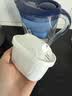 碧然德（BRITA） 家用滤水壶 净水壶滤芯 Maxtra 多效滤芯 3枚装 实拍图