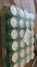 百事可乐七喜7UP 柠檬味 碳酸饮料汽水 330ml*24听胖罐 整箱装 实拍图