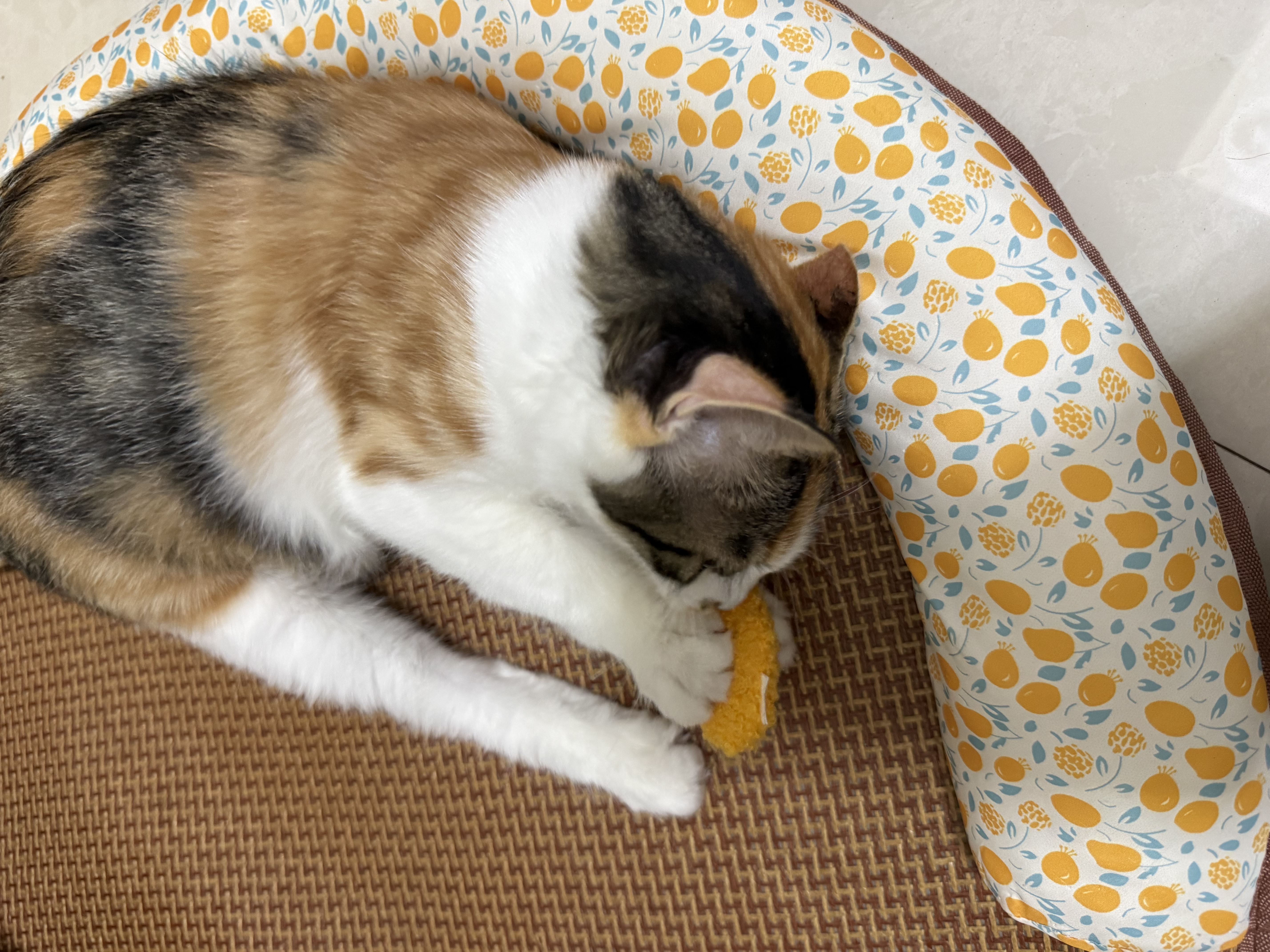 冠能猫粮室内成猫猫粮10kg 全价猫粮 添加膳食纤维 控制毛球 实拍图