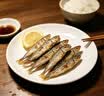 京觅多春鱼2斤(4*250g) 40-50条公母混合新老包装交替 实拍图