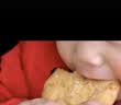 麦酥园无糖全麦桃酥糖尿病人中老年专用饼干传统中式糕点心休闲零食600g 实拍图