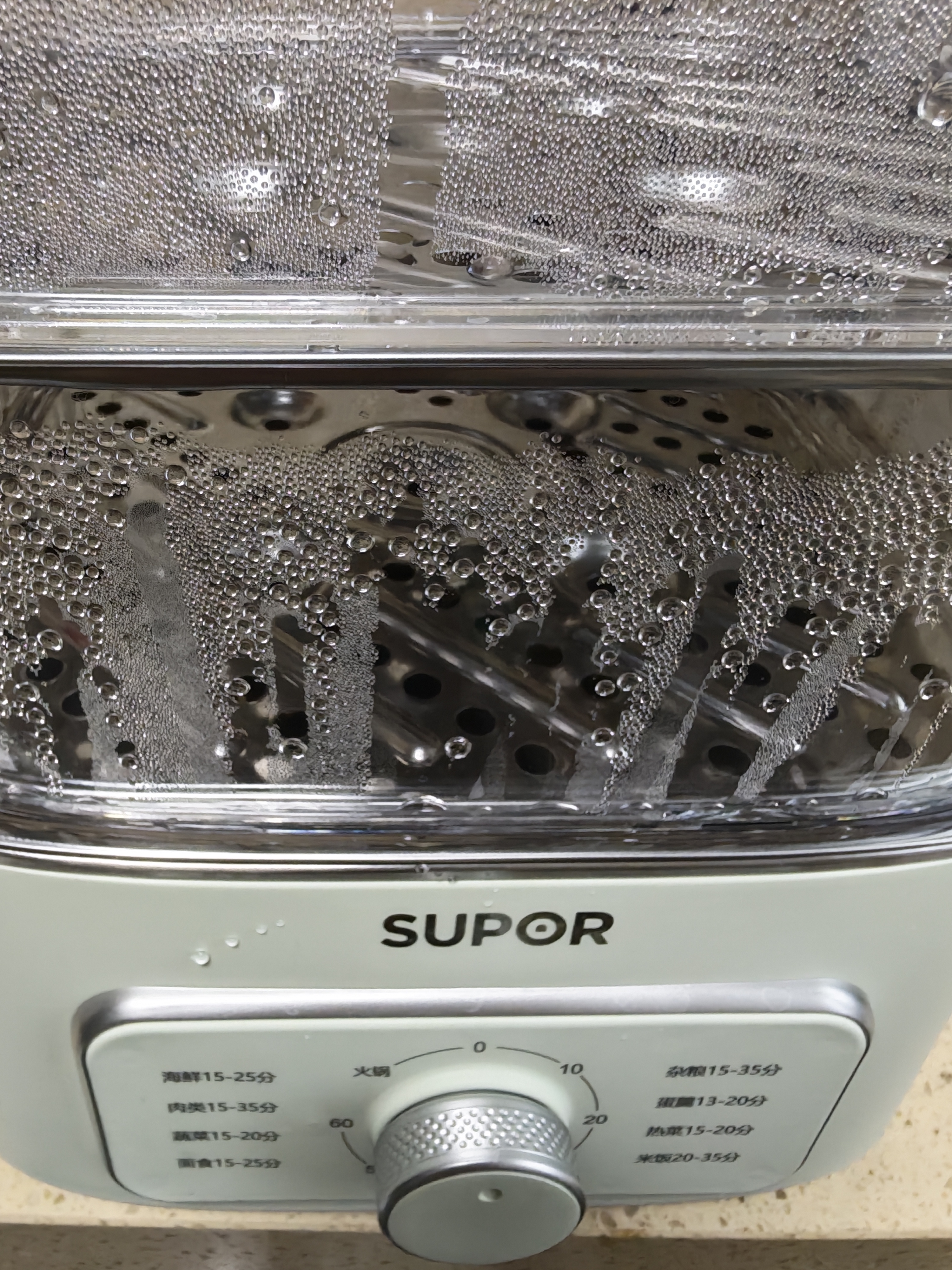 苏泊尔（SUPOR）电蒸锅炖蒸煮一体电煮锅 电火锅家用多功能电热锅 不锈钢0涂层底锅多用途锅ZN23FK930 实拍图