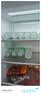 依能 青柠檬味苏打水饮料 无糖无汽弱碱 500ml*24瓶 塑膜装饮品 实拍图