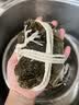 【活蟹】漁家师傅大闸蟹公3.8-4.1两母2.8-3.1两4对8只 鲜活螃蟹现货生鲜礼盒 中秋送礼 实拍图