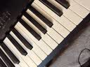 罗兰（Roland）FRP-C1重锤电钢琴LX/HP系列同款Modeling音源成人儿童初学入门款 实拍图