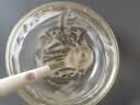 飞鹤配方米粉铂金装   15g*2 试用装 实拍图