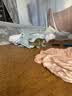 普安特宠物猫咪洗耳液耳螨狗狗滴耳液猫耳朵清洁耳垢臭痒漂护理液尔加分 实拍图