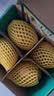 佳沛（zespri）新西兰金奇异果4粒103-114g猕猴桃源头直发中秋节礼品送水果礼盒 实拍图