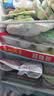 广州酒家核桃包750g 20个早餐半成品早茶点心包子面点食品中秋送礼美食 实拍图