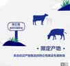 蒙牛特仑苏纯牛奶全脂灭菌乳利乐钻250ml*16盒*2箱 送礼优选 实拍图