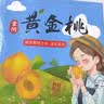 京地达山东蒙阴黄桃净重4.5斤礼盒单果约145g蜜桃新鲜水果桃子源头直发 实拍图