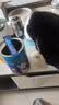 LEGENDSANDY蓝氏猫零食全价主食猫条成猫幼猫鲜肉猫湿粮罐头鳕鱼鹌鹑味16g*12 实拍图